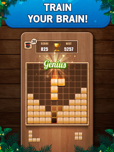 Wooden 100 Block Puzzle Game Ekran Görüntüsü 0