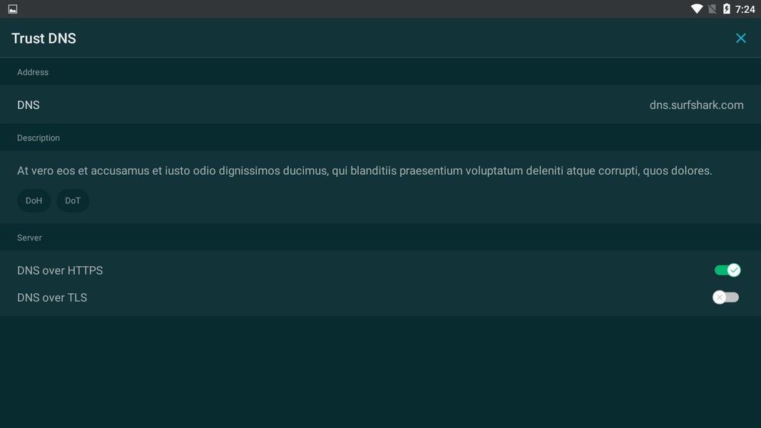 Trust DNS Скриншот 3