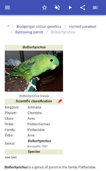 Parrots Скриншот 0