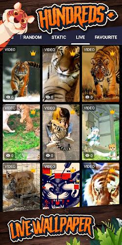 tiger background Tangkapan skrin 2