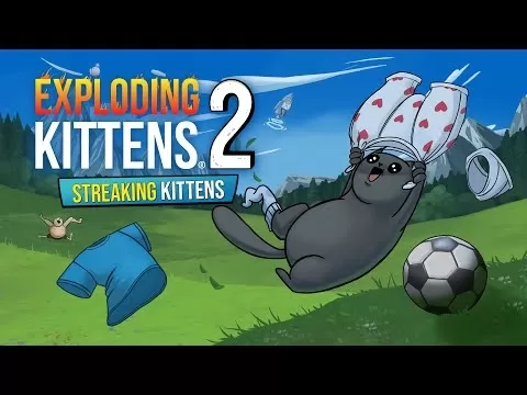 Exploding Kittens 2 Streaking Kittens Expansion
