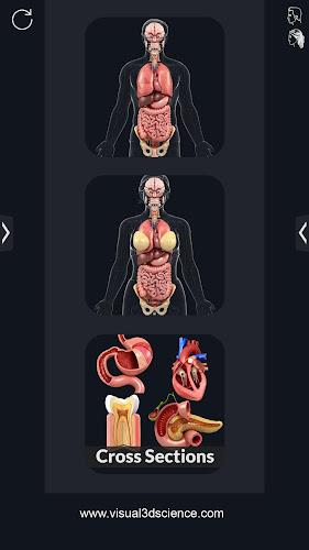 Schermata My Organs Anatomy 0