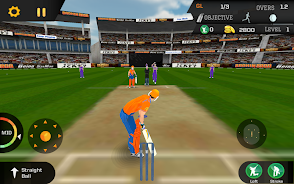 Cricket Unlimited 2017 Tangkapan skrin 2