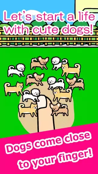 Schermata Play with Dogs - relaxing game 0