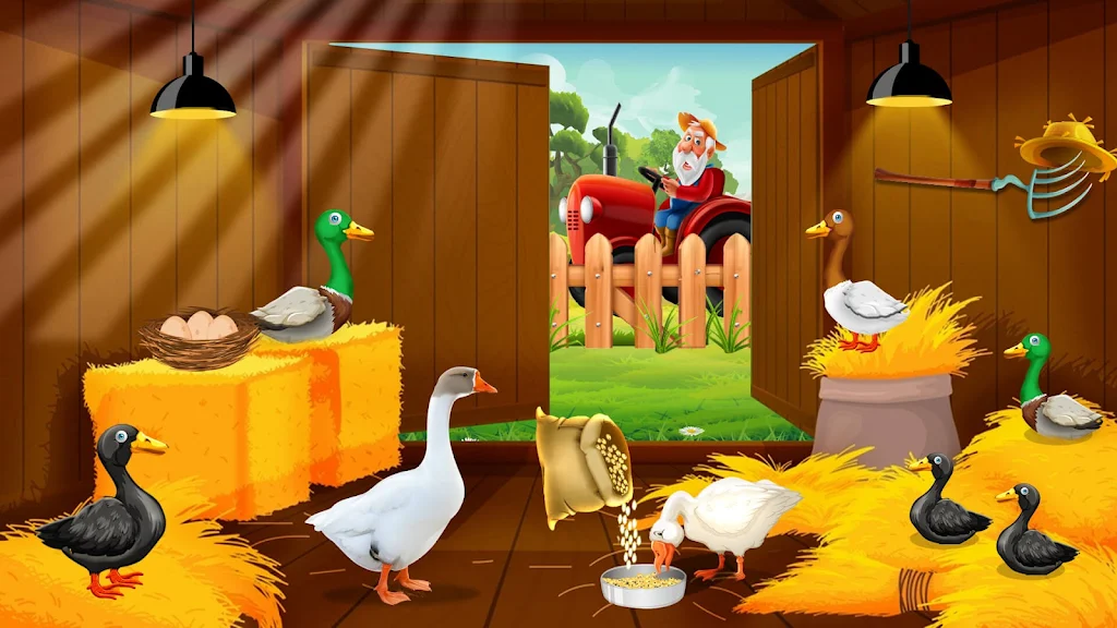 Duck Farm Eggs Chicken Poultry Captura de pantalla 3