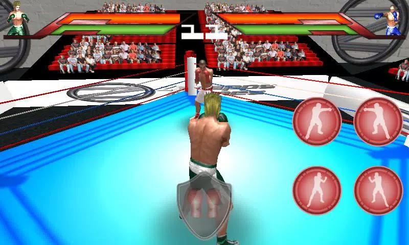 Virtual Boxing Screenshot 2