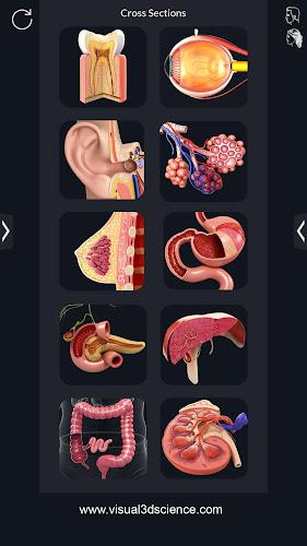 My Organs Anatomy Capture d'écran 1