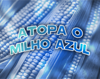 Atopa o Milho Azul Ekran Görüntüsü 0