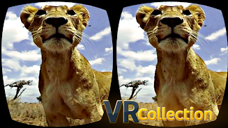 Pack of VR videos Capture d'écran 2