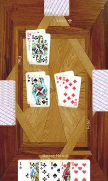 Durak plus Screenshot 0