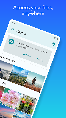 pCloud: Cloud Storage Tangkapan skrin 1