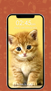 Kitty Cat Pin Lock Screen 스크린샷 0