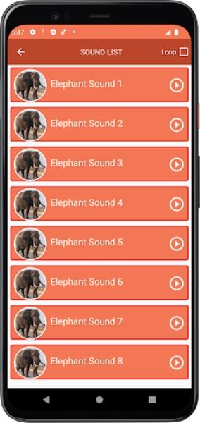 Elephant Sounds應用截圖第0張