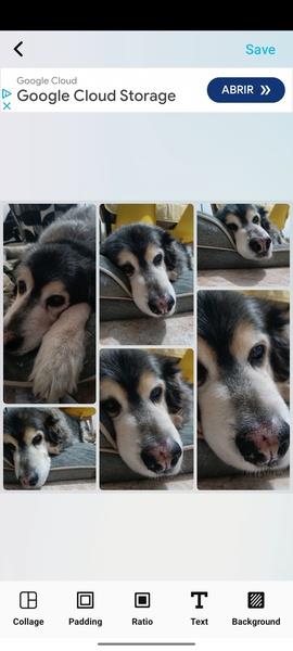 PicsMaster Photo Editor Pro應用截圖第2張