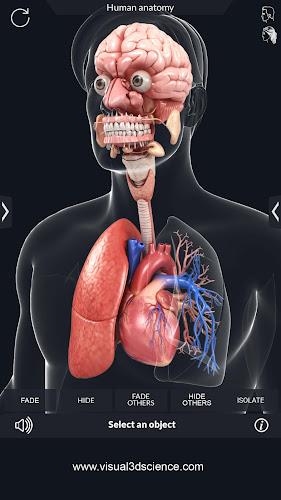 My Organs Anatomy Captura de tela 3