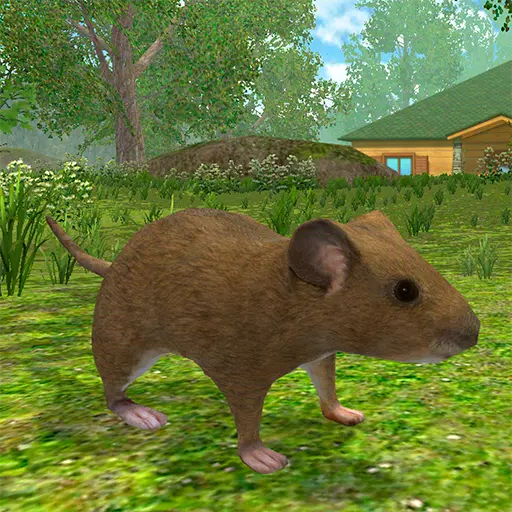 Mouse Simulator