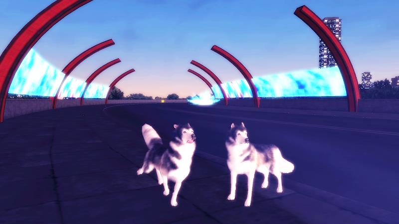 Husky Simulator Screenshot 1