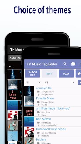 TK Music Tag Editor Screenshot 2