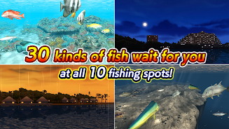 Excite BigFishing Ⅲ スクリーンショット 3