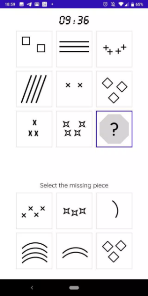 IQT: Raven IQ Test