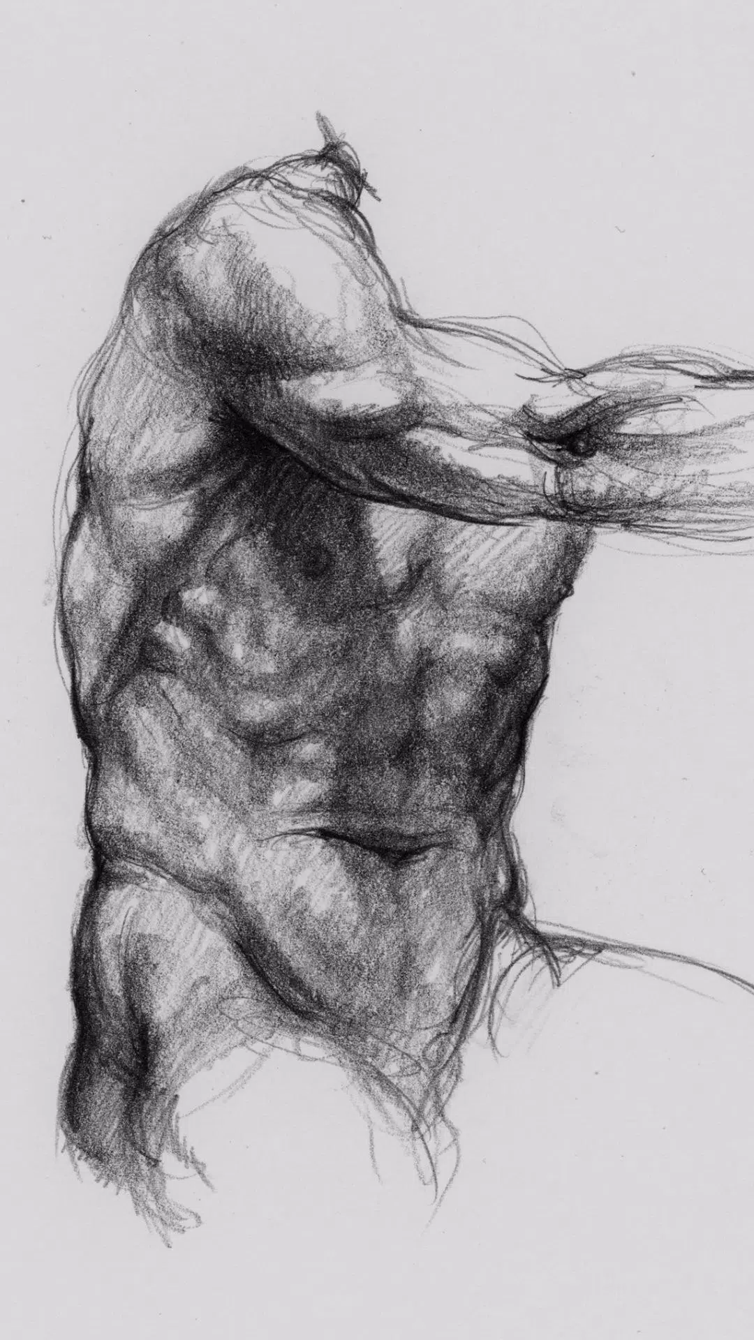 3D Anatomy for the Artist應用截圖第0張