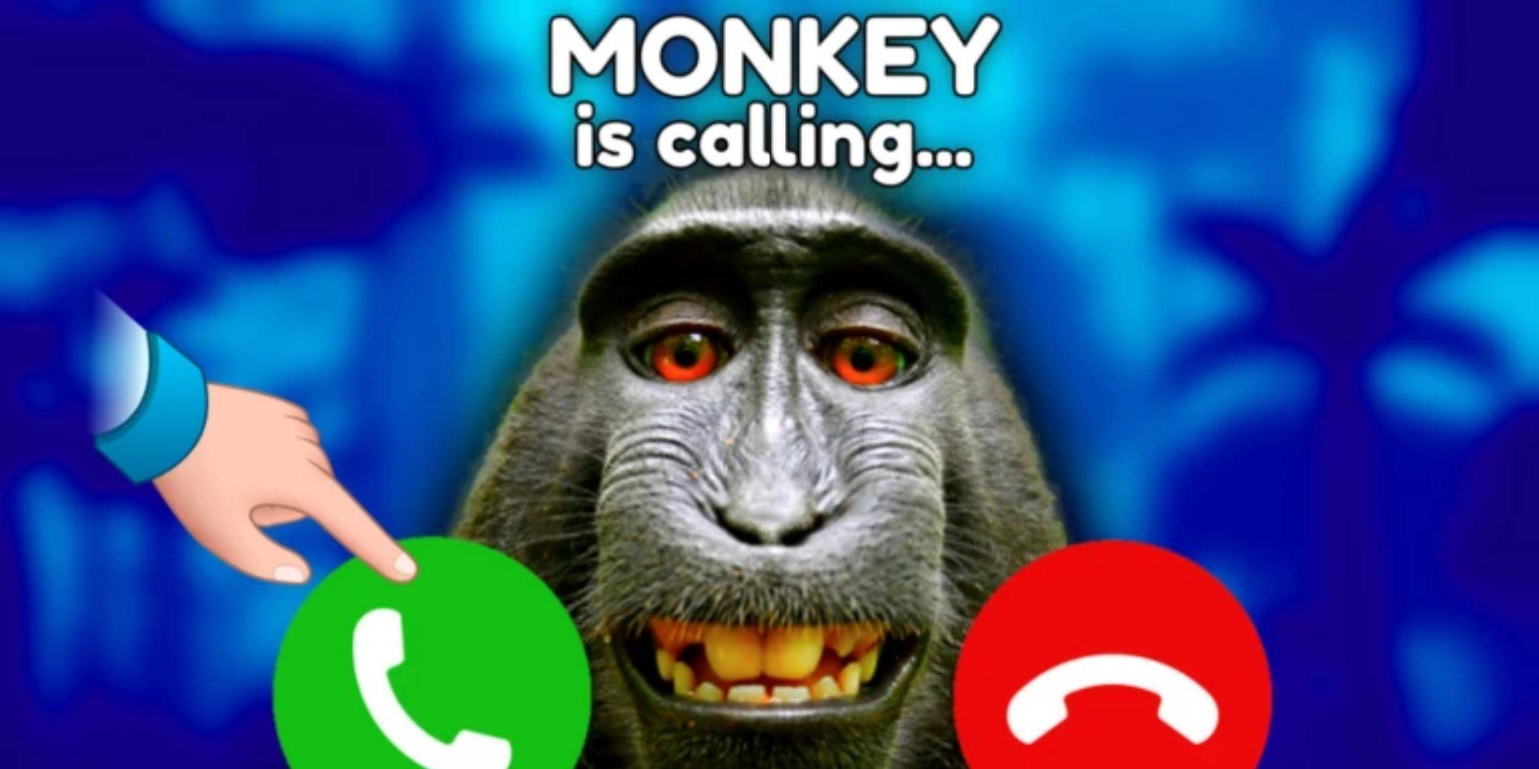 Monkey Tycoon Codes