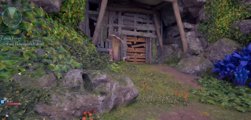 A close-up image of a boarded-up area in Avowed, indicating the location of the treasure chest.