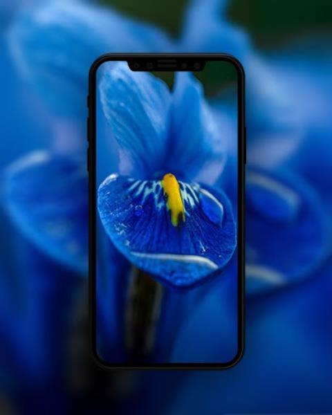 Blue Wallpapers HD Screenshot 3