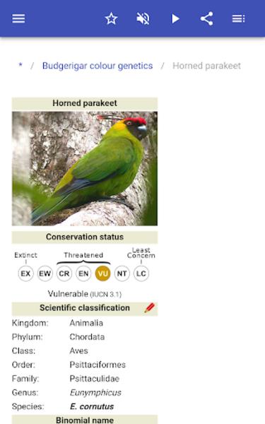 Parrots Capture d'écran 2