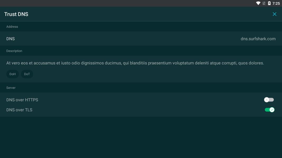 Trust DNS Скриншот 2