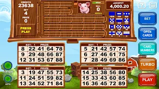 Video Bingo Little Farm應用截圖第2張