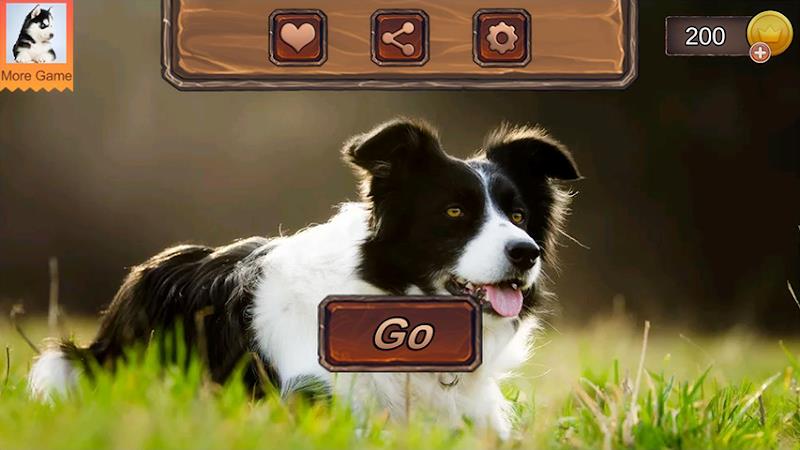 Border Collie Simulator Captura de pantalla 2