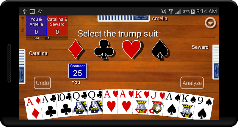 Pinochle Classic Screenshot 1