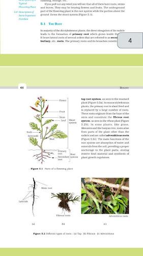 Class 11 Biology NCERT Book Captura de pantalla 1