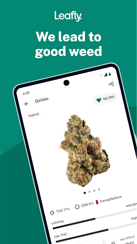 Leafly: Find Cannabis and CBD應用截圖第0張