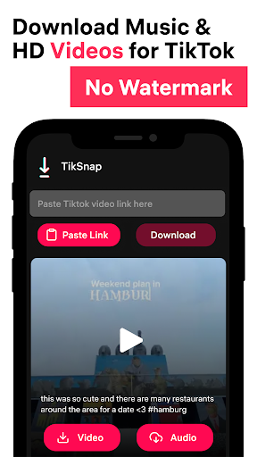 TikSnap: Downloader for TikTok 스크린샷 0