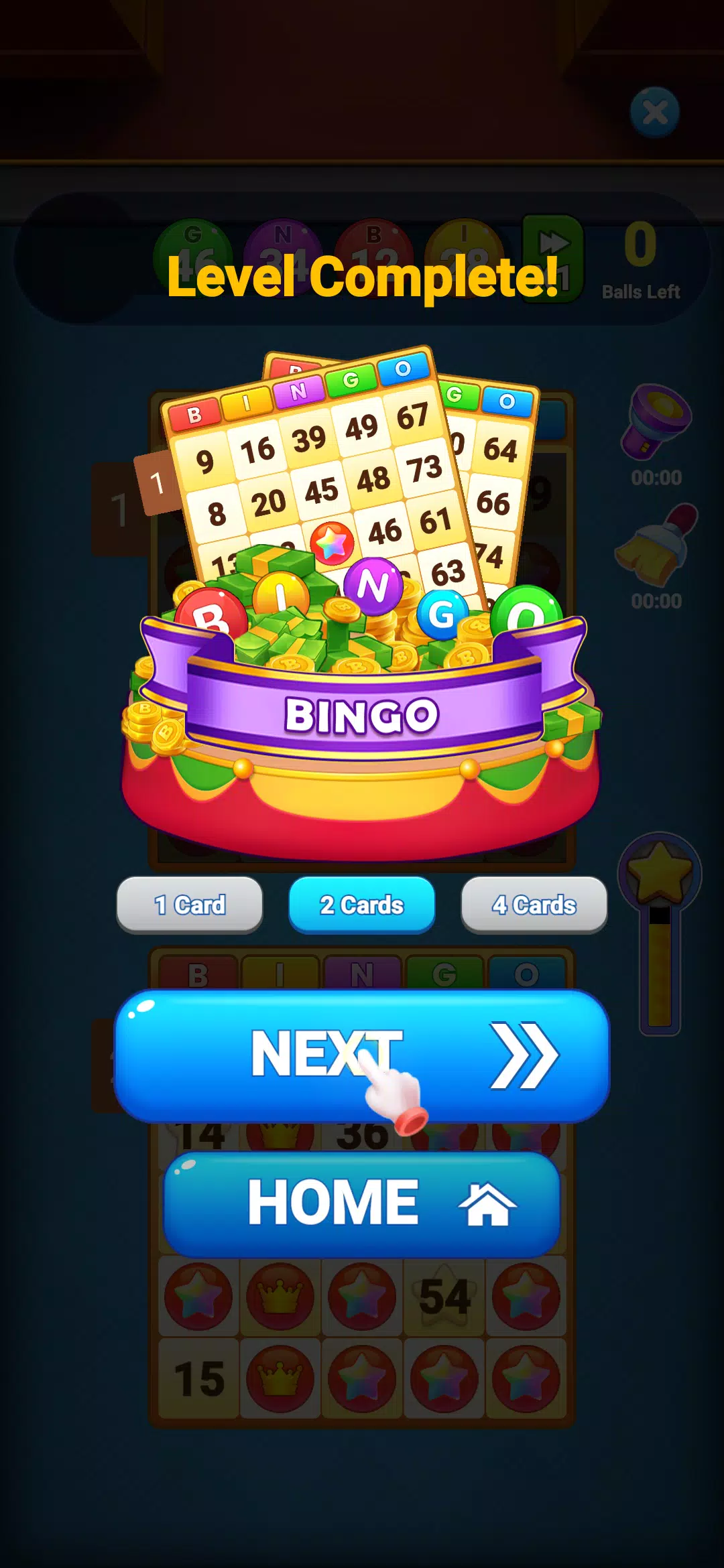 Bingo Amaze স্ক্রিনশট 3