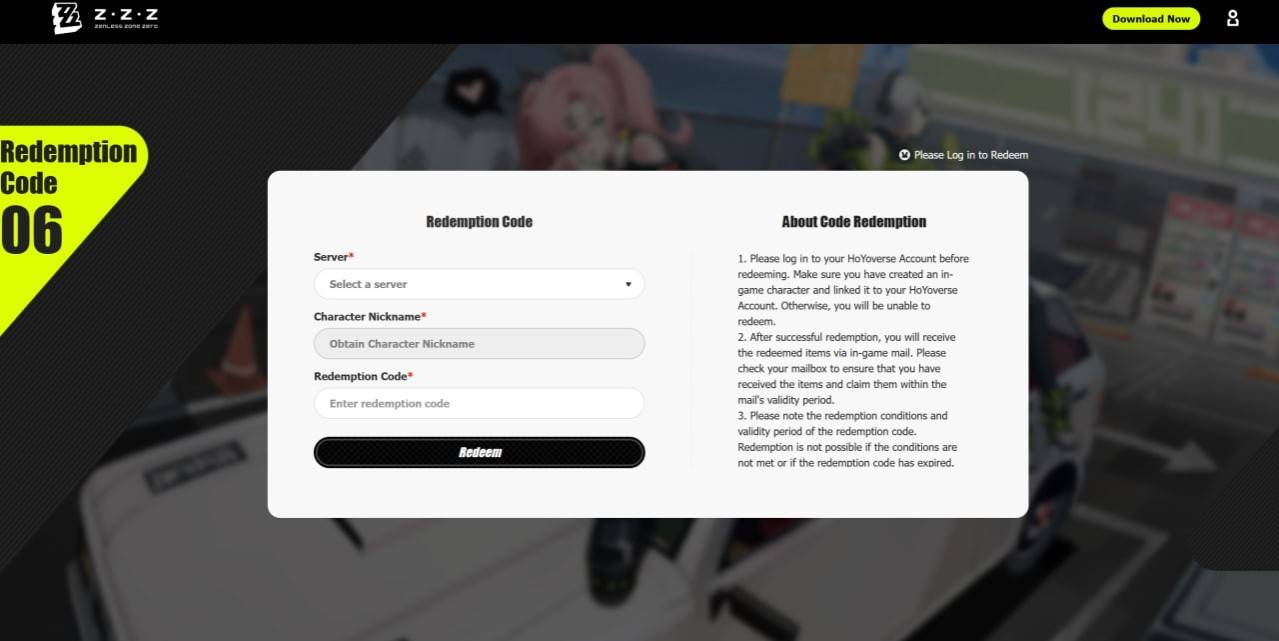 ZZZ promo code redemption interface