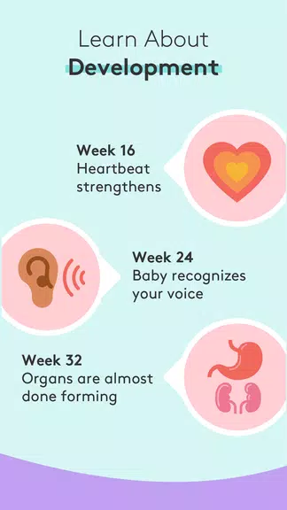 Pregnancy Tracker & Baby App Screenshot 2