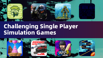 Challenging Single Player Simulation Games